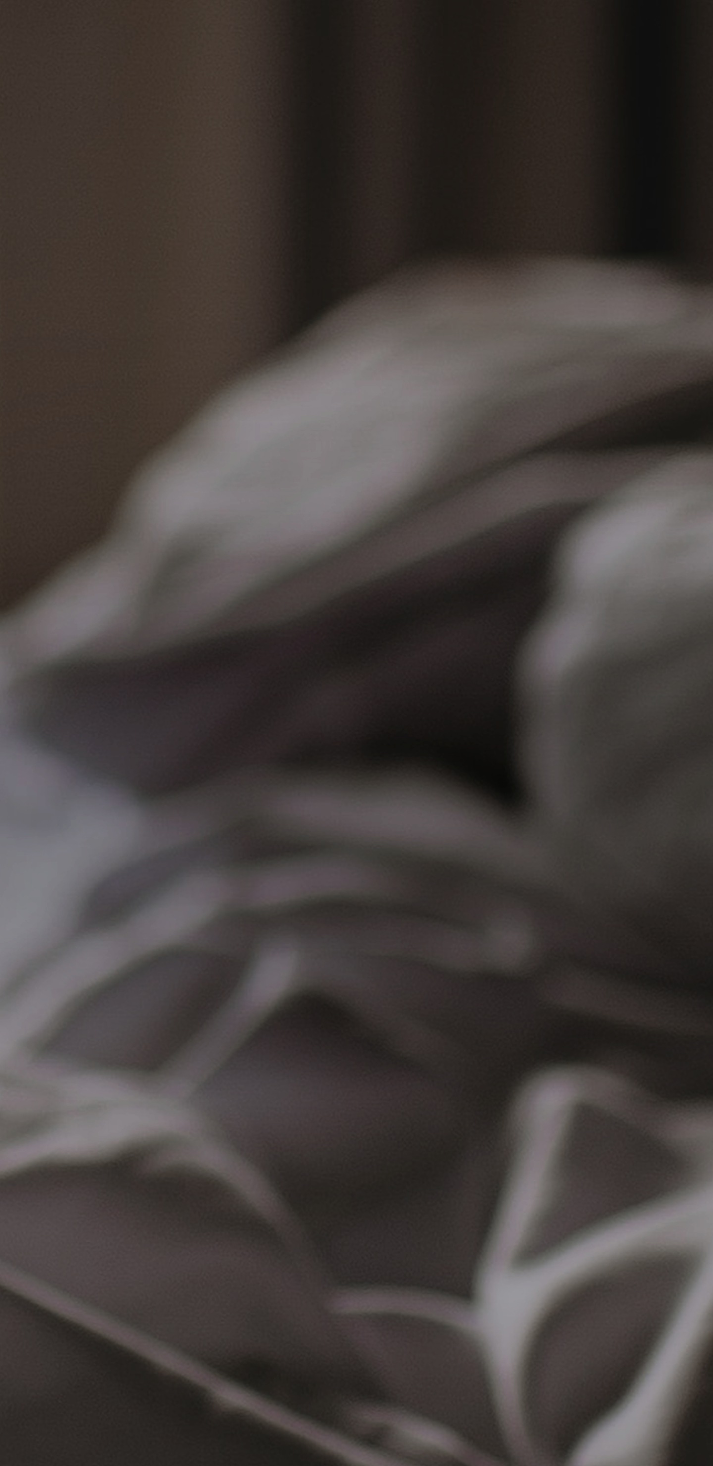 main-visual02